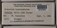 Image Associated With the Occurence